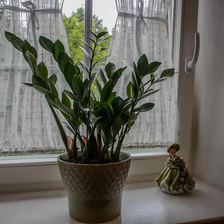 Vila Na Uboczu Gryfów Śląski Pokoj fotografie