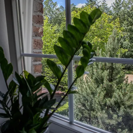 Vila Na Uboczu Gryfów Śląski Pokoj fotografie