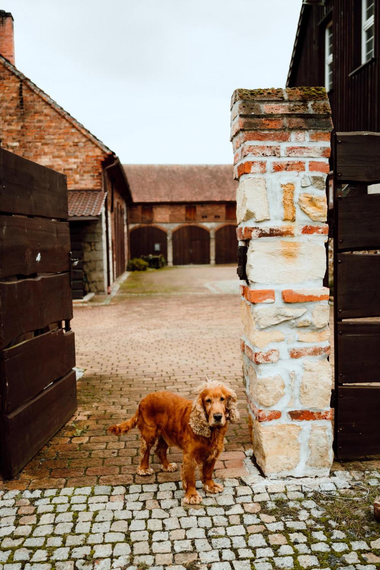 Farm stay Na Uboczu Gryfow Slaski