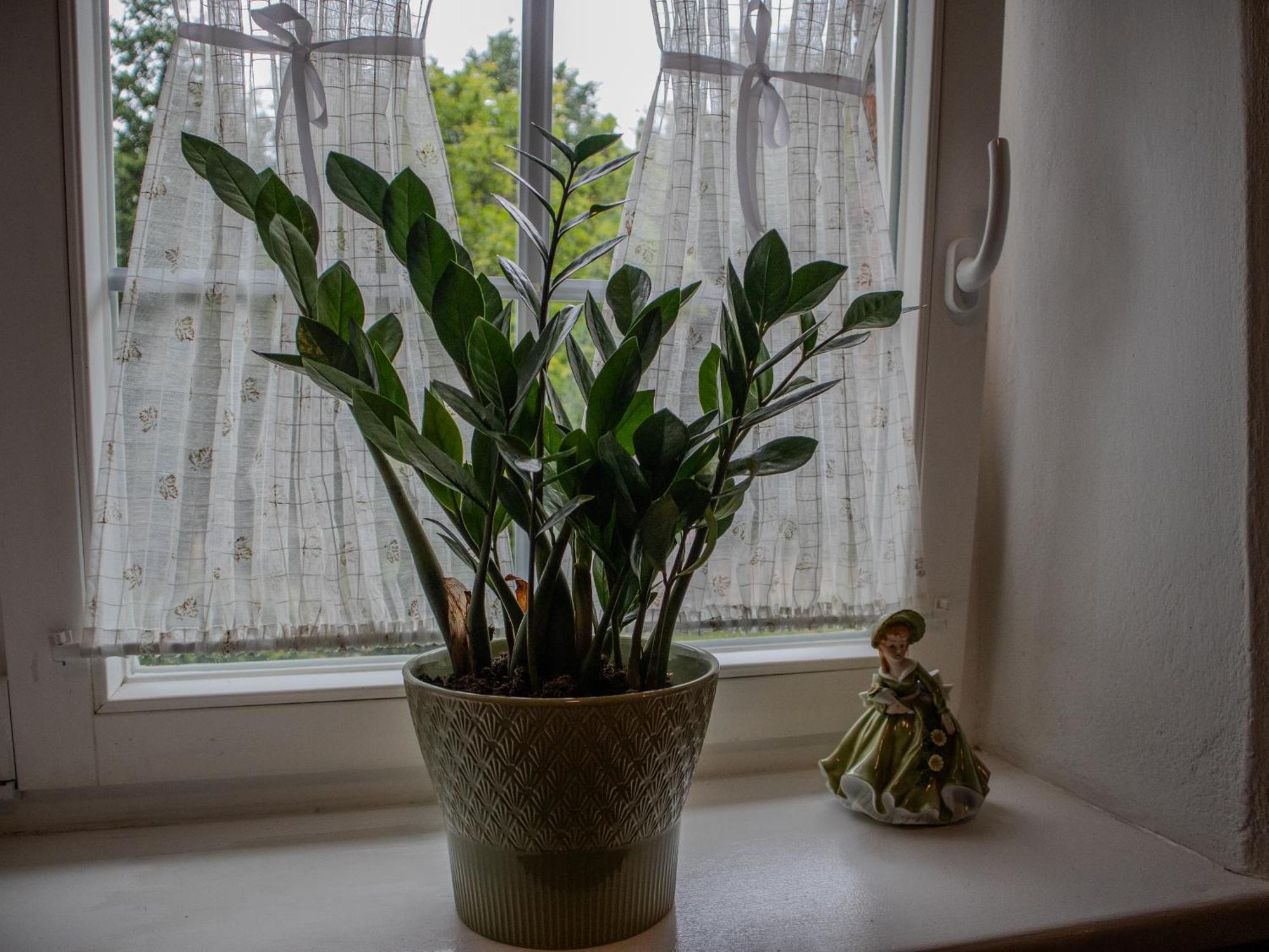Na Uboczu Farm stay Gryfow Slaski